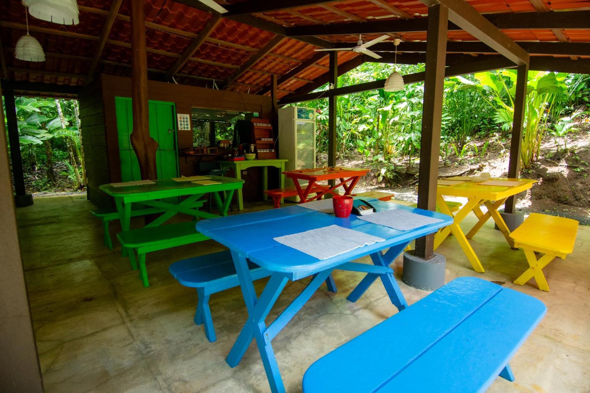Selva Color - Forest & Beach Ecolodge Quebrada Ganado Eksteriør billede