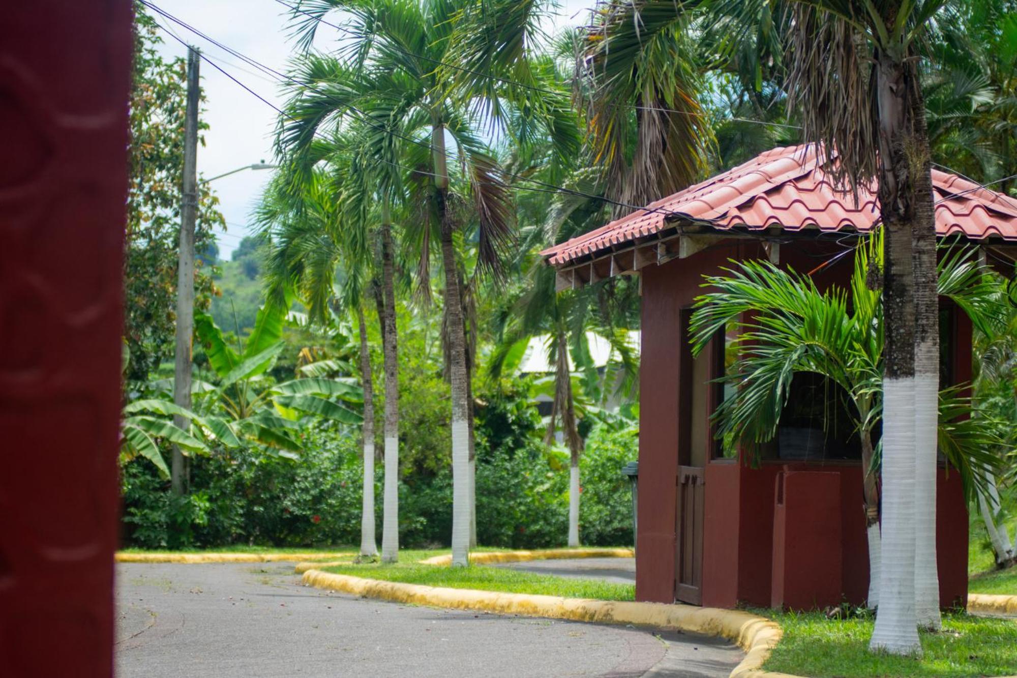 Selva Color - Forest & Beach Ecolodge Quebrada Ganado Eksteriør billede