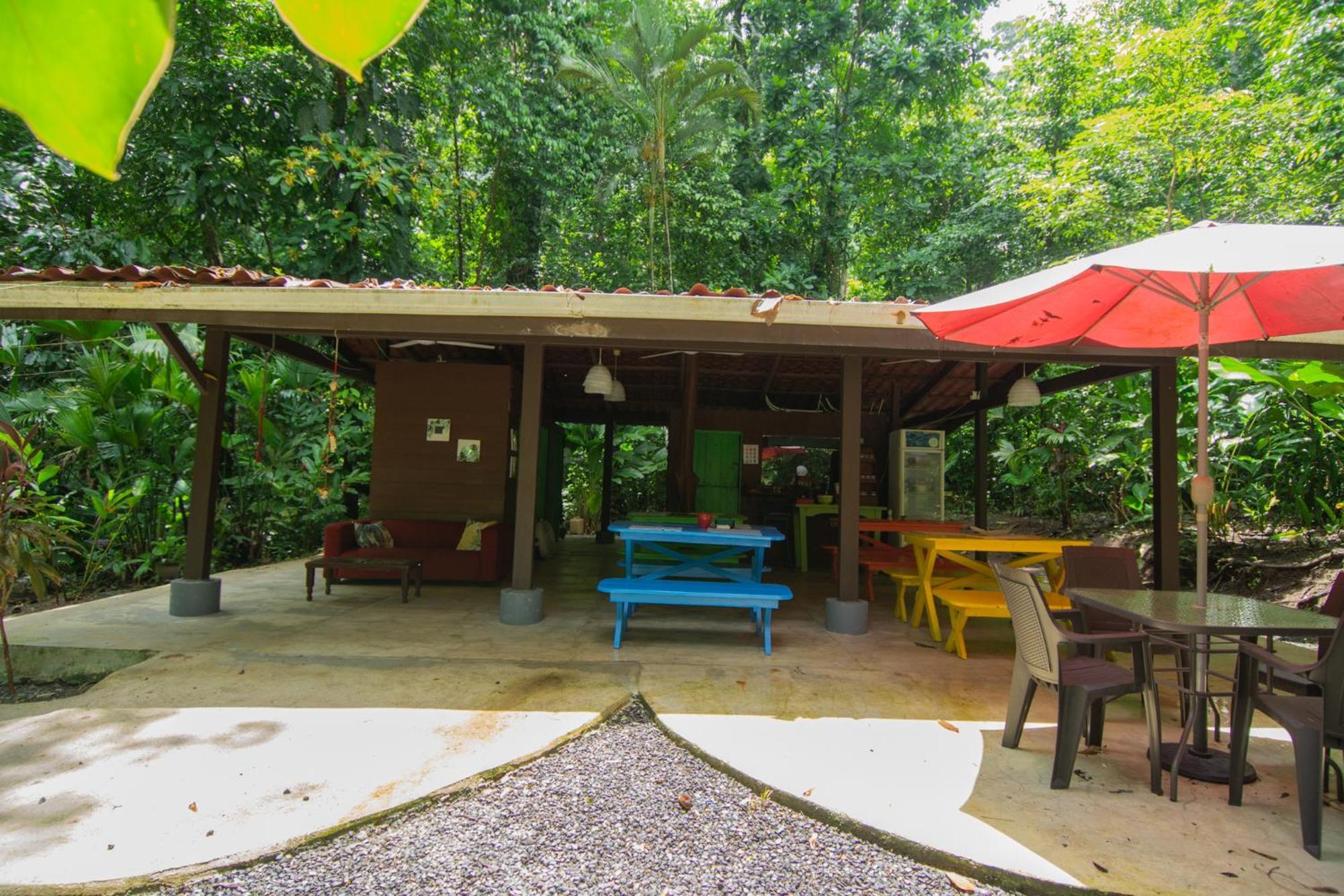 Selva Color - Forest & Beach Ecolodge Quebrada Ganado Eksteriør billede