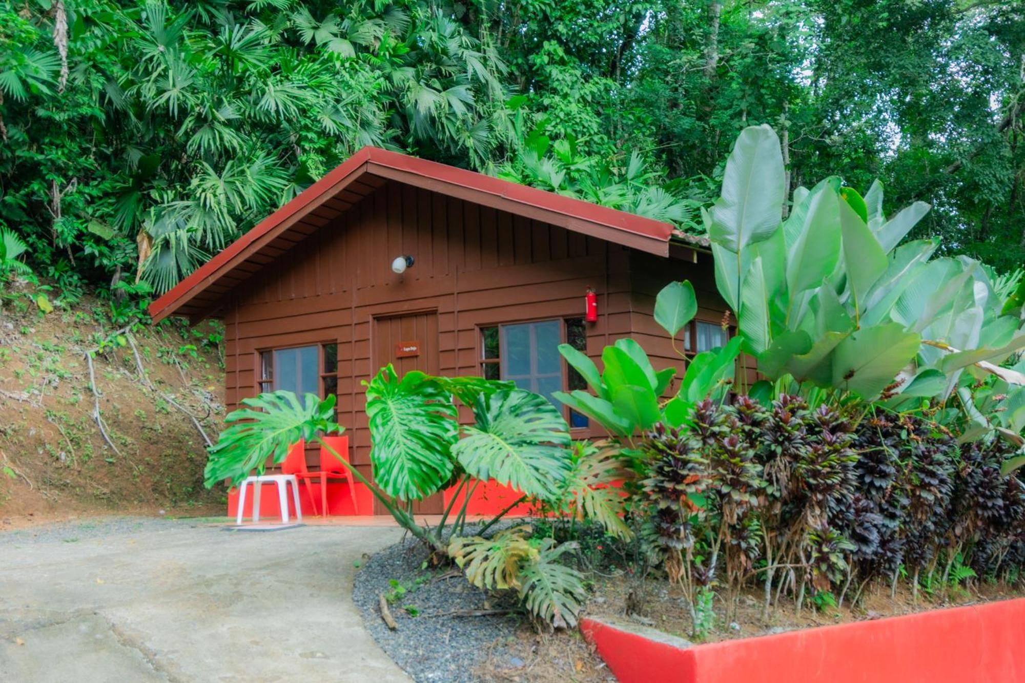 Selva Color - Forest & Beach Ecolodge Quebrada Ganado Eksteriør billede