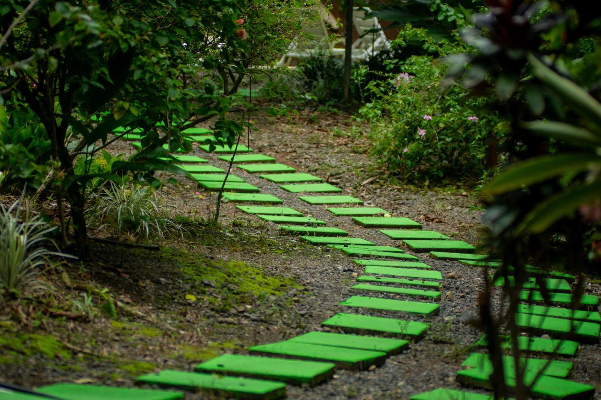 Selva Color - Forest & Beach Ecolodge Quebrada Ganado Eksteriør billede