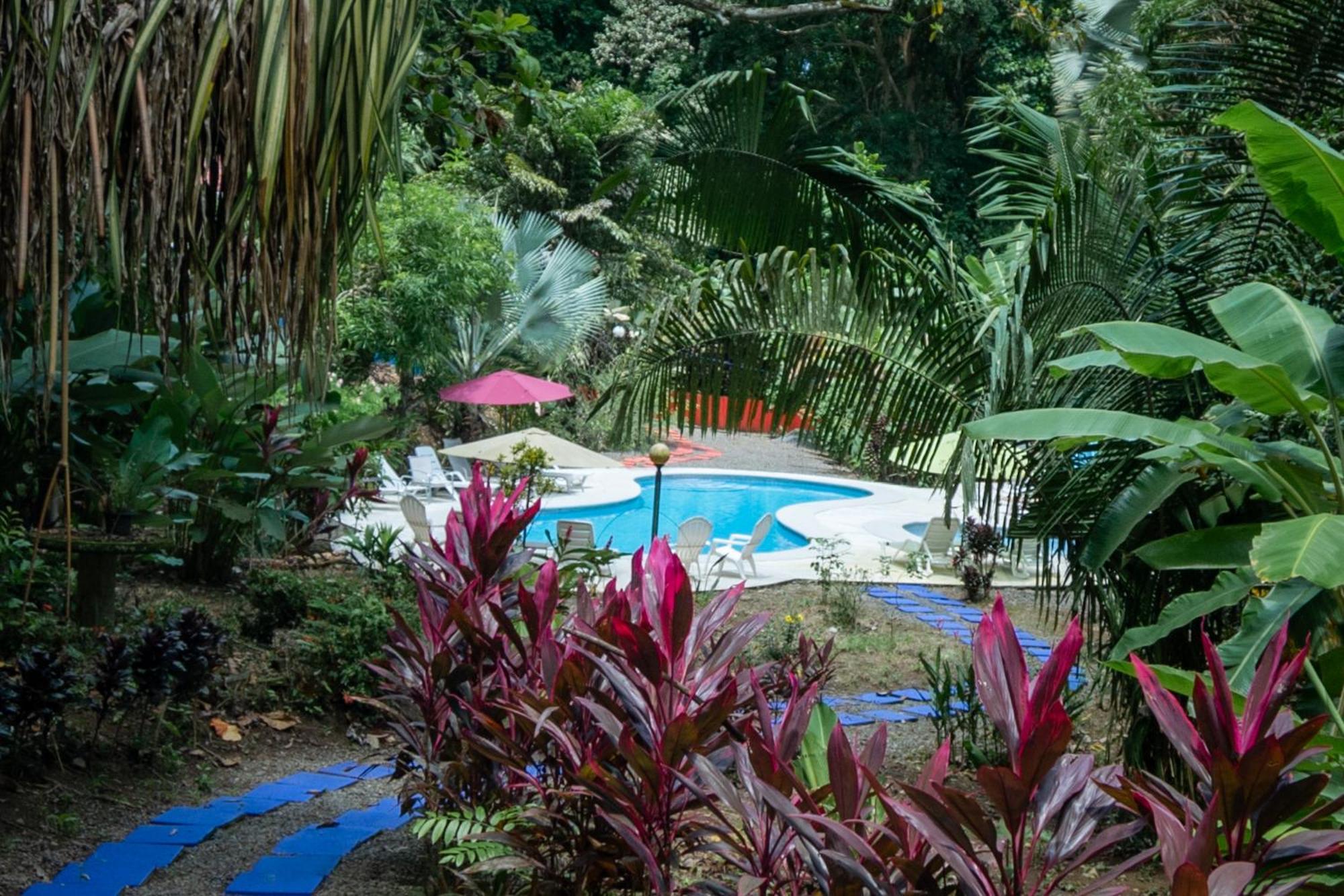 Selva Color - Forest & Beach Ecolodge Quebrada Ganado Eksteriør billede