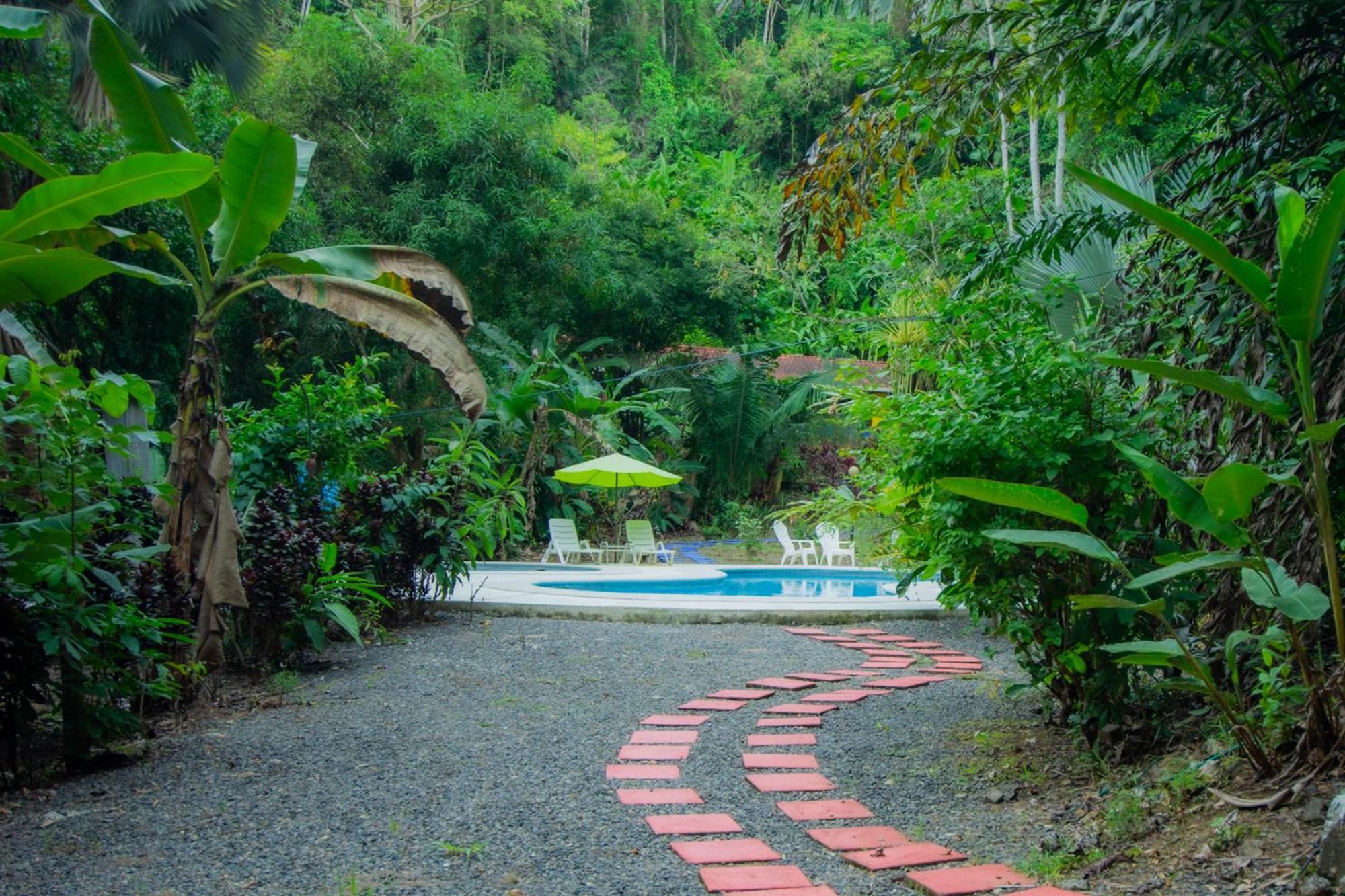 Selva Color - Forest & Beach Ecolodge Quebrada Ganado Eksteriør billede