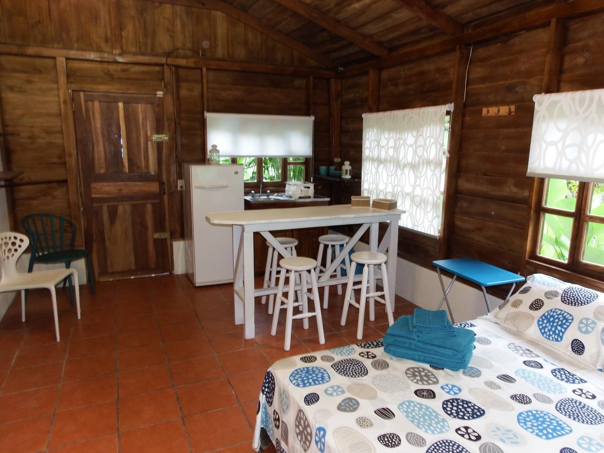 Selva Color - Forest & Beach Ecolodge Quebrada Ganado Eksteriør billede