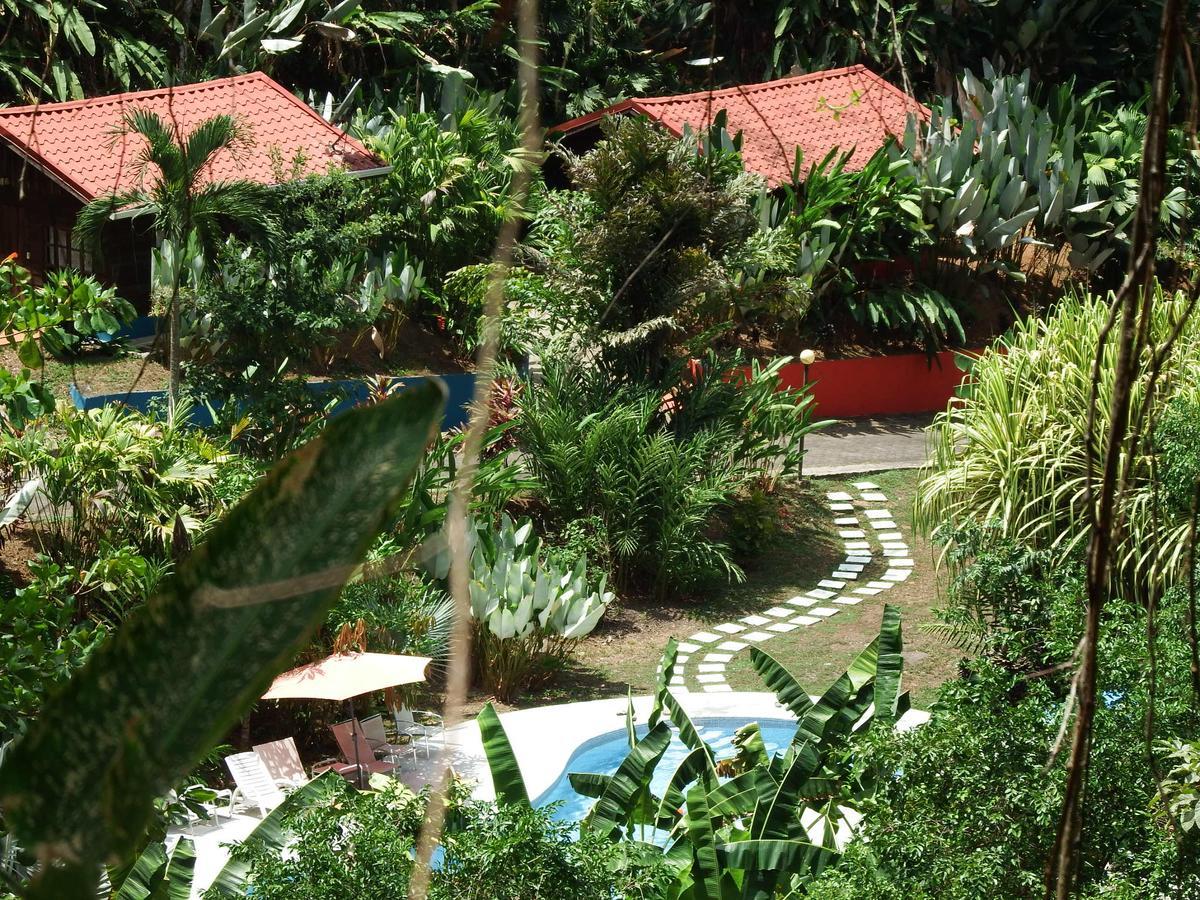 Selva Color - Forest & Beach Ecolodge Quebrada Ganado Eksteriør billede