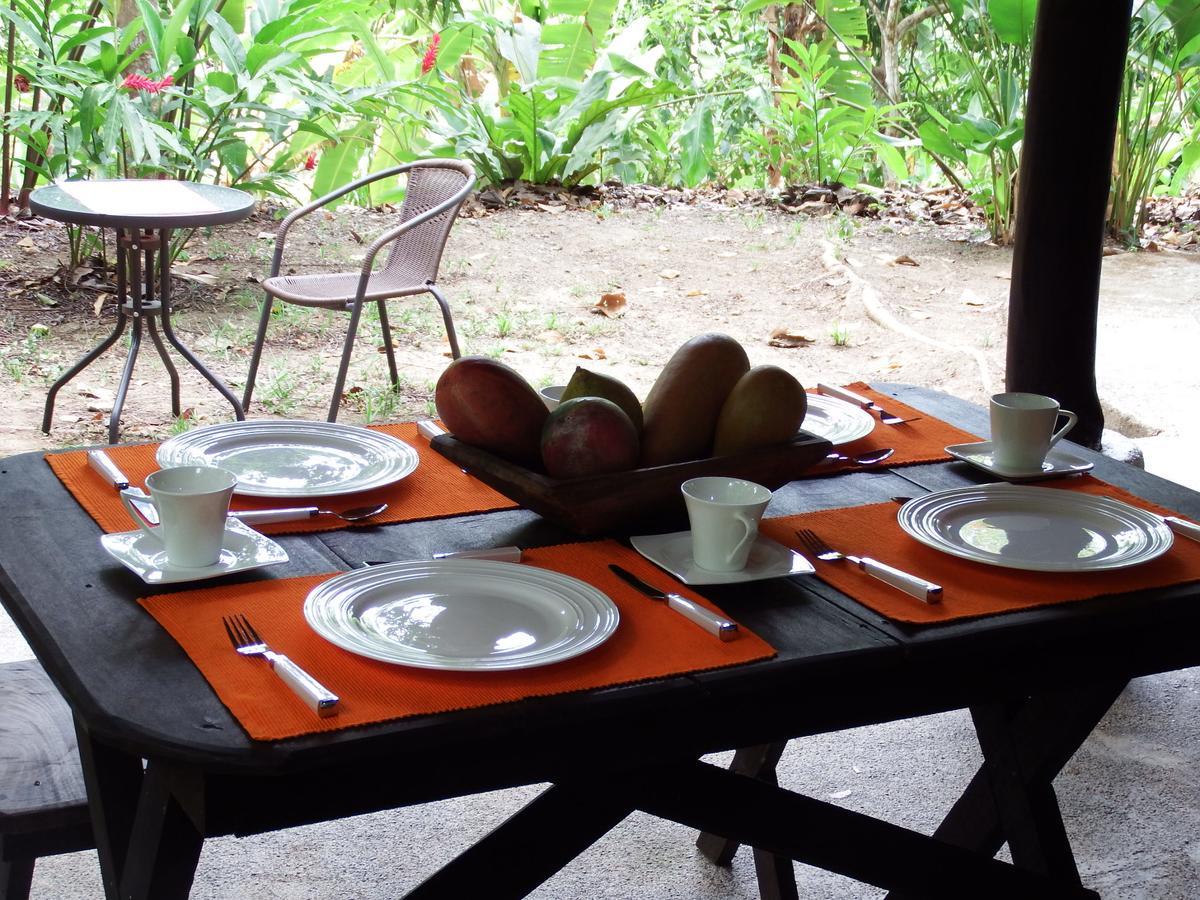 Selva Color - Forest & Beach Ecolodge Quebrada Ganado Eksteriør billede