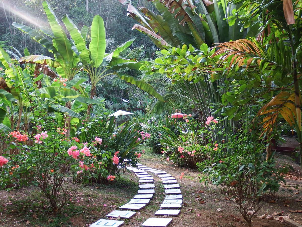 Selva Color - Forest & Beach Ecolodge Quebrada Ganado Eksteriør billede