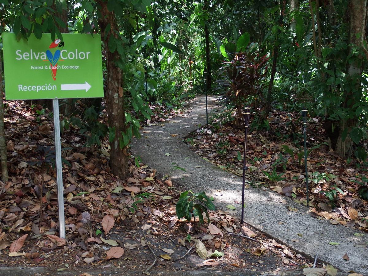 Selva Color - Forest & Beach Ecolodge Quebrada Ganado Eksteriør billede