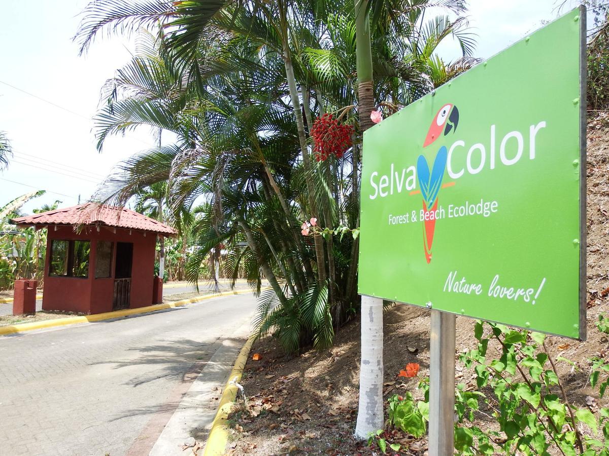 Selva Color - Forest & Beach Ecolodge Quebrada Ganado Eksteriør billede