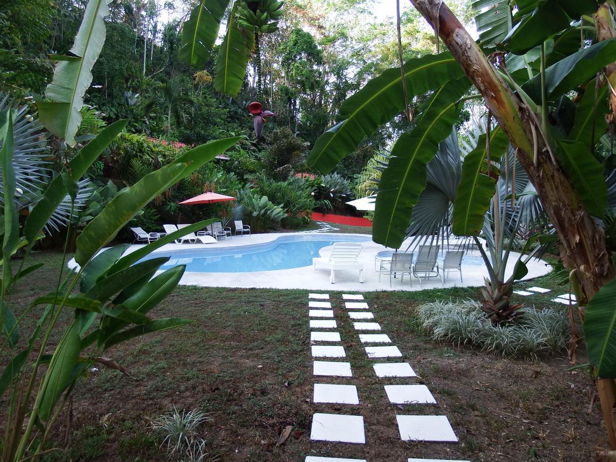 Selva Color - Forest & Beach Ecolodge Quebrada Ganado Eksteriør billede