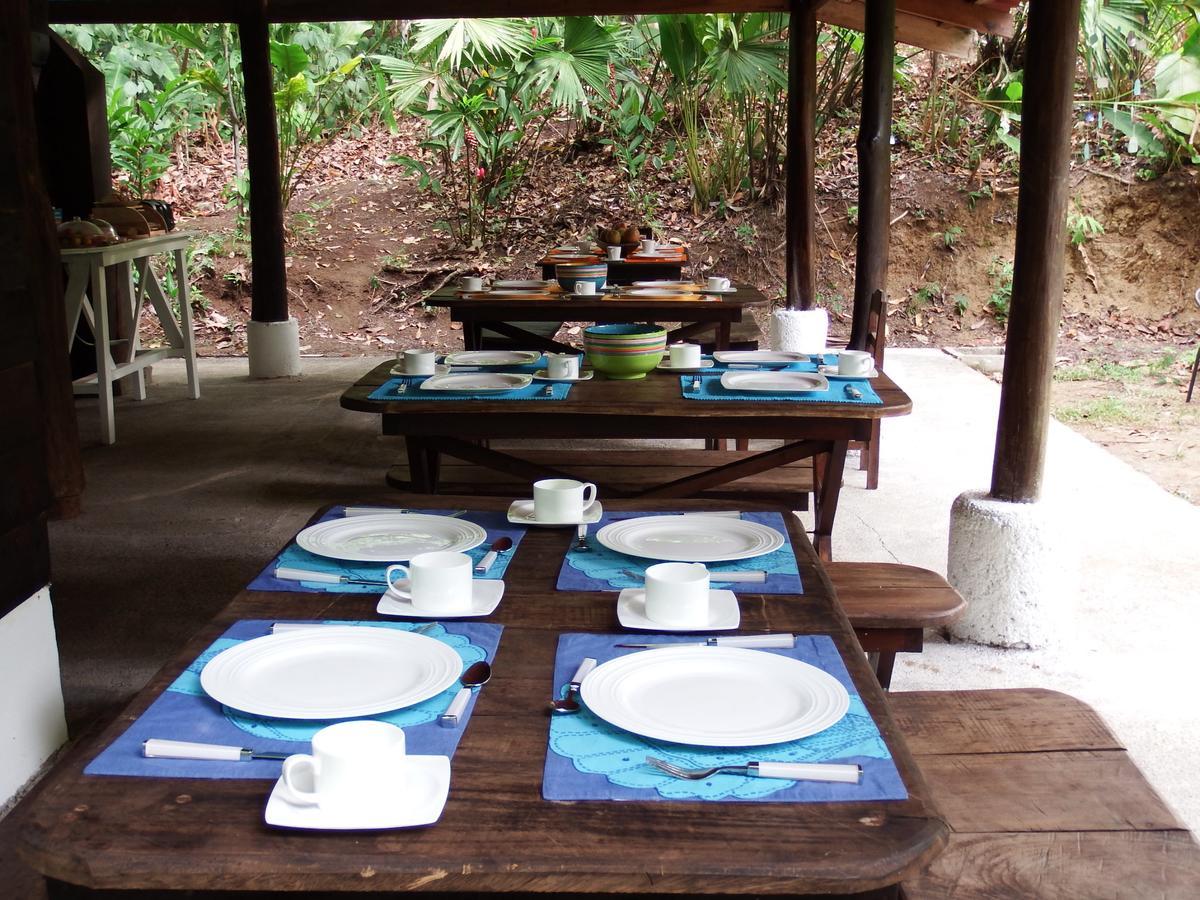 Selva Color - Forest & Beach Ecolodge Quebrada Ganado Eksteriør billede